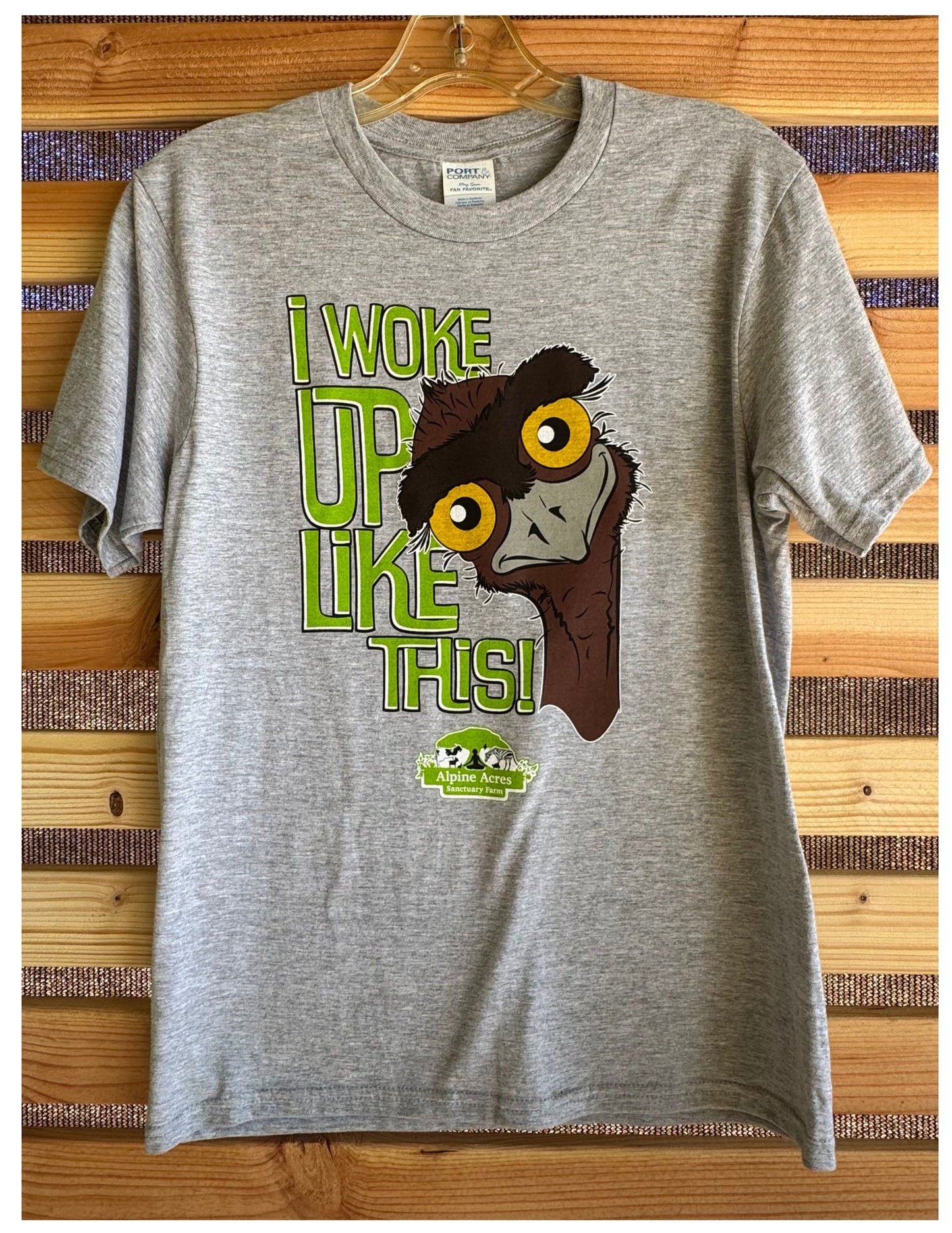 Youth Short Sleeve T-Shirt "I Woke Up Like This" in Gray