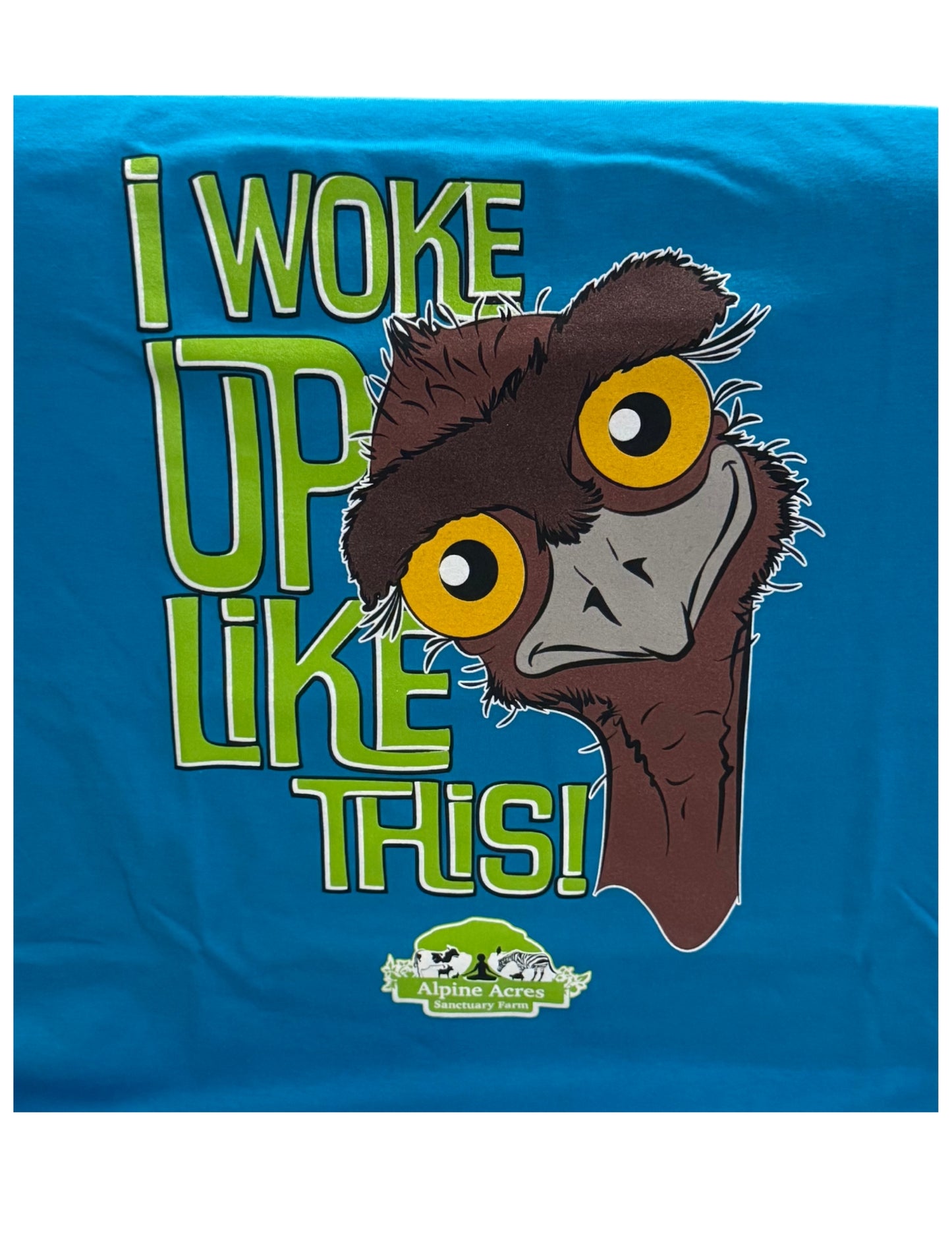 Youth Short Sleeve T-Shirt "I Woke Up Like This" in Blue/Teal