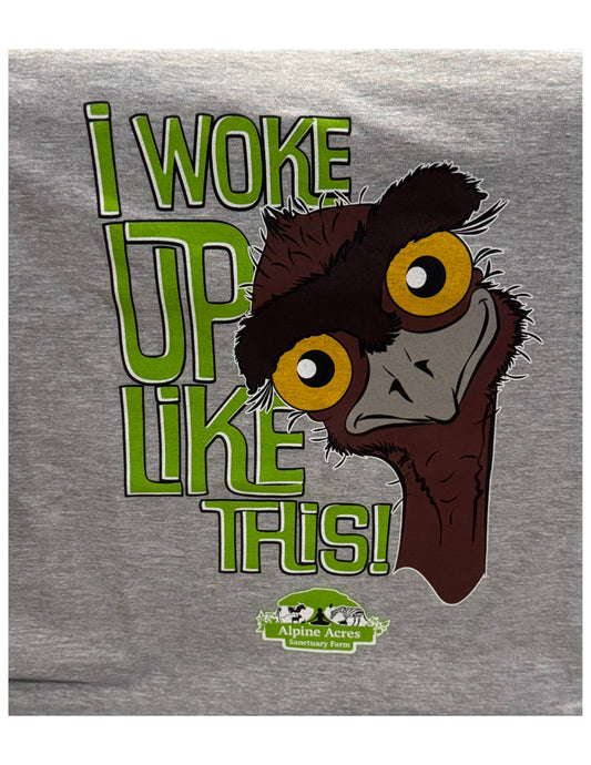 Youth Short Sleeve T-Shirt "I Woke Up Like This" in Gray