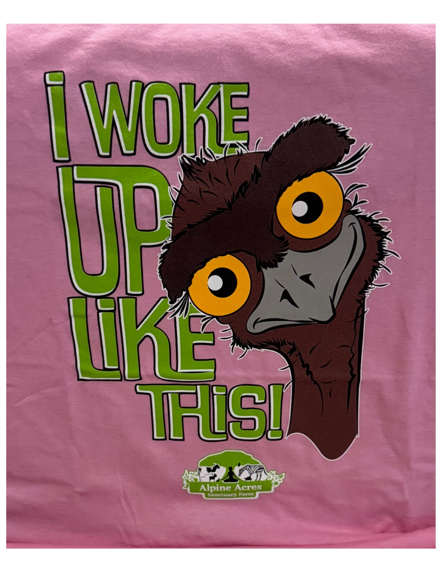 Youth Short Sleeve T-Shirt "I Woke Up Like This" in Pink
