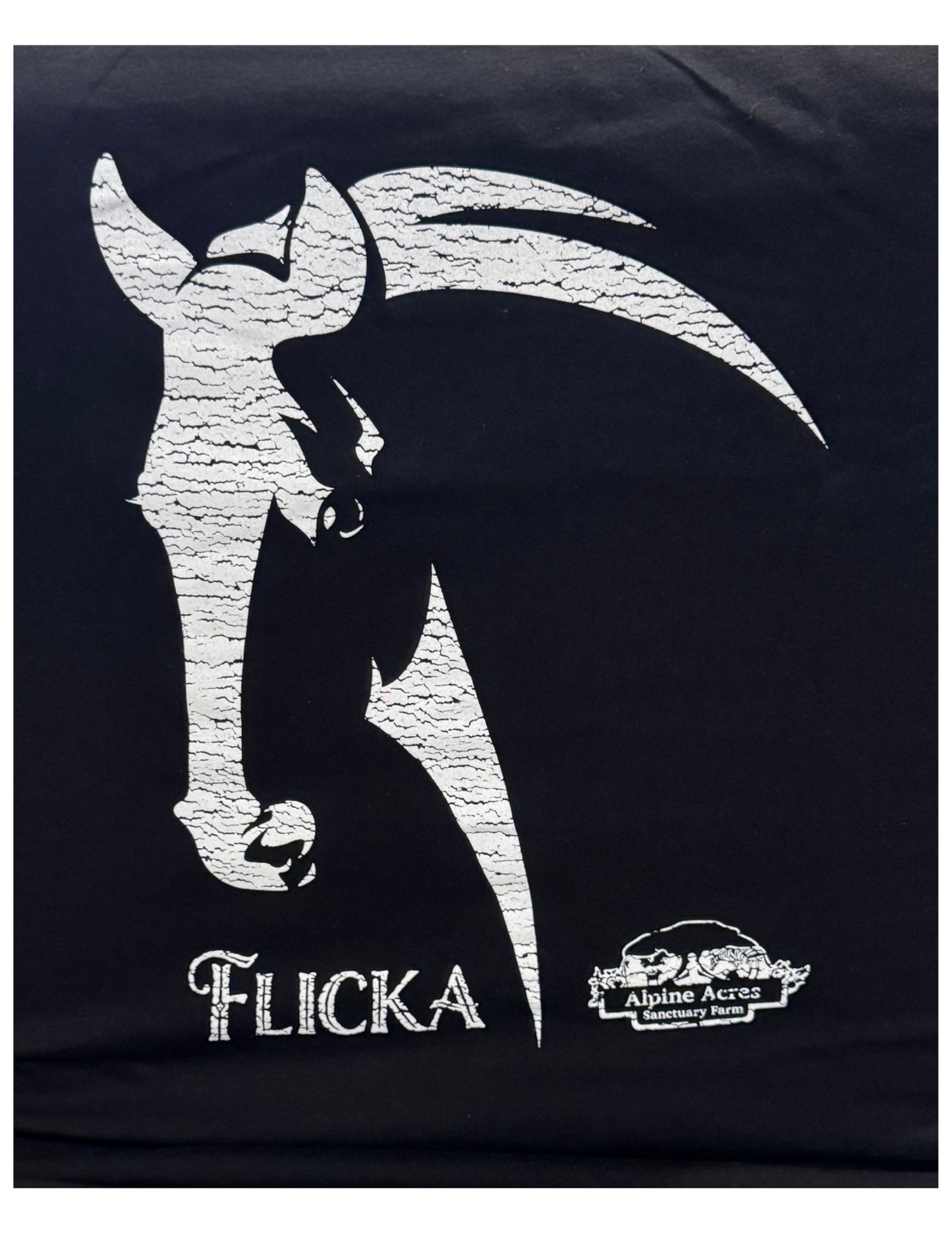 Adult Unisex Short Sleeve T-Shirt "Flicka" in Black